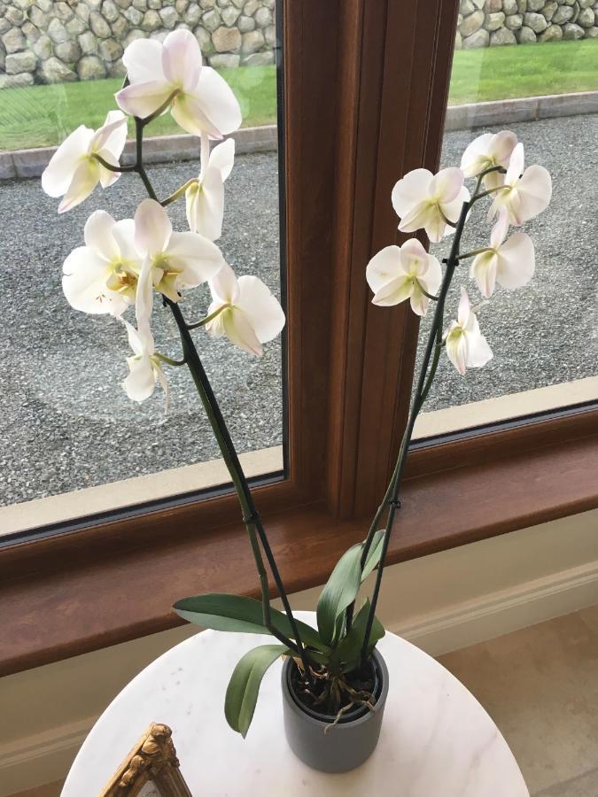كيلكيل Mourne Country House Bed And Breakfast المظهر الخارجي الصورة